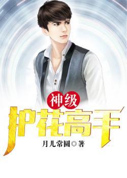 神级护花兵王李风txt