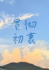 贯彻初衷txt百度