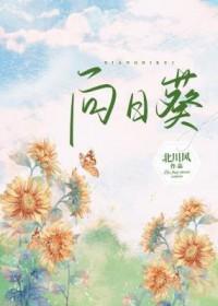 向日葵在夜晚绽放动画播放第一季有几