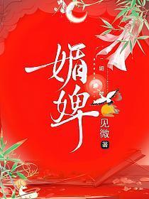 媚婢免费阅读全文无弹窗